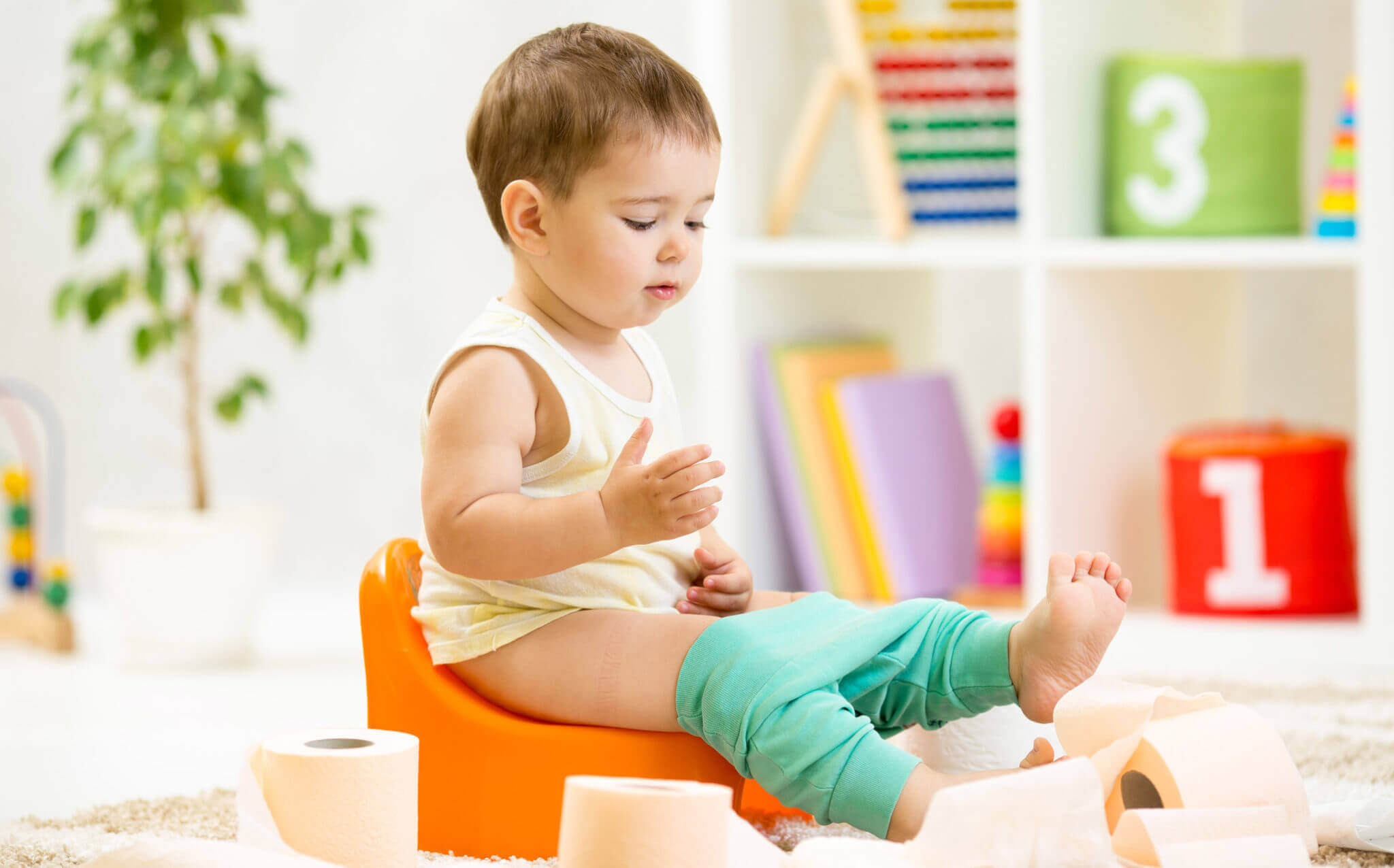 Toilet Training - Understanding The Signs - Toddler Baby Centre