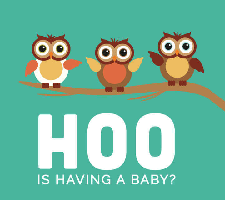 Baby Shower downloadable Invitations - Guess HOO?