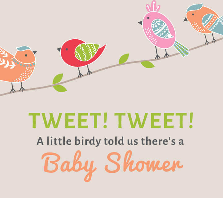 bird themed baby shower